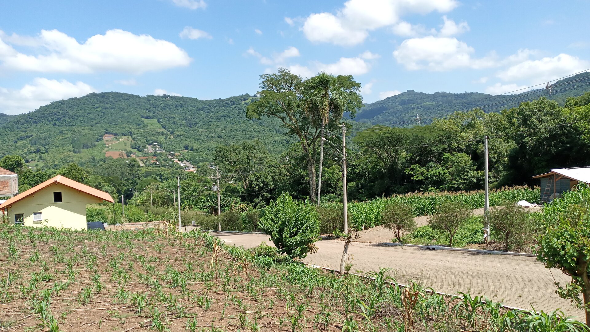 Terreno  á venda  em São João - Picada Café