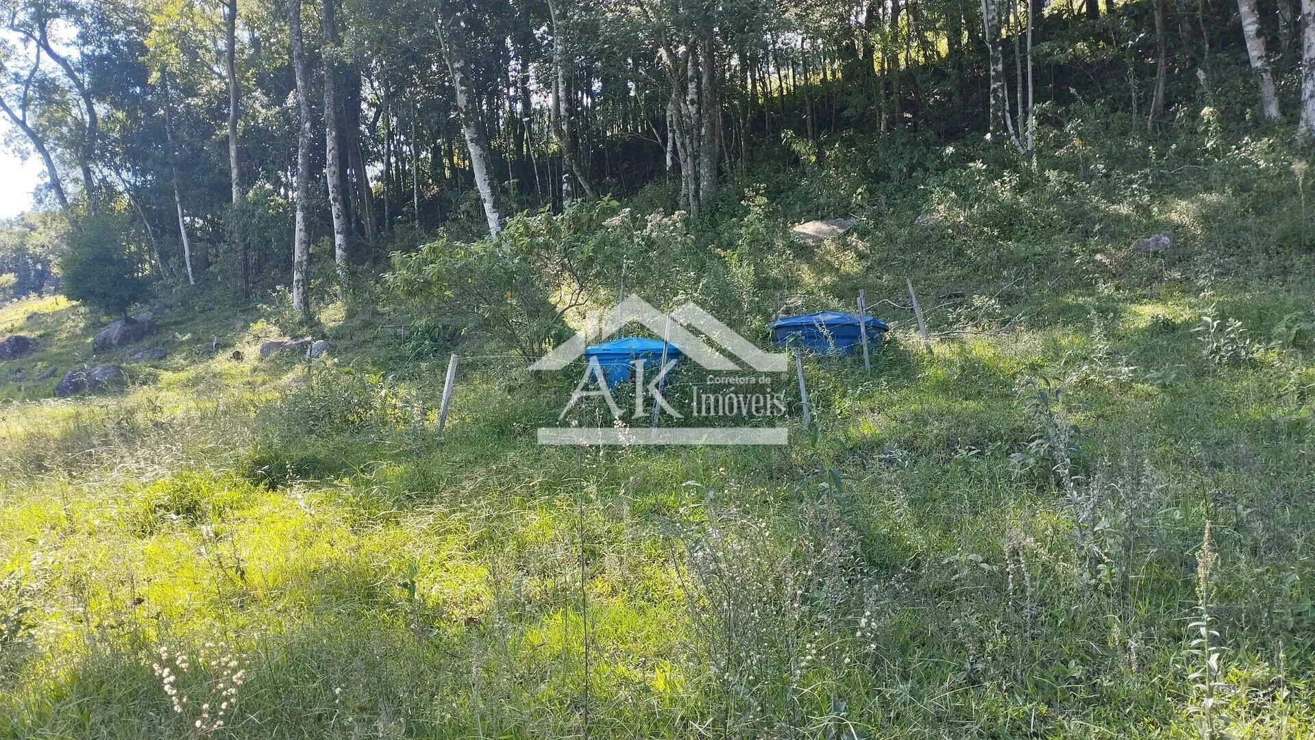 Imagens do imóveis Sítio com açude e vista à venda em Picada Café na Serra Gaúcha