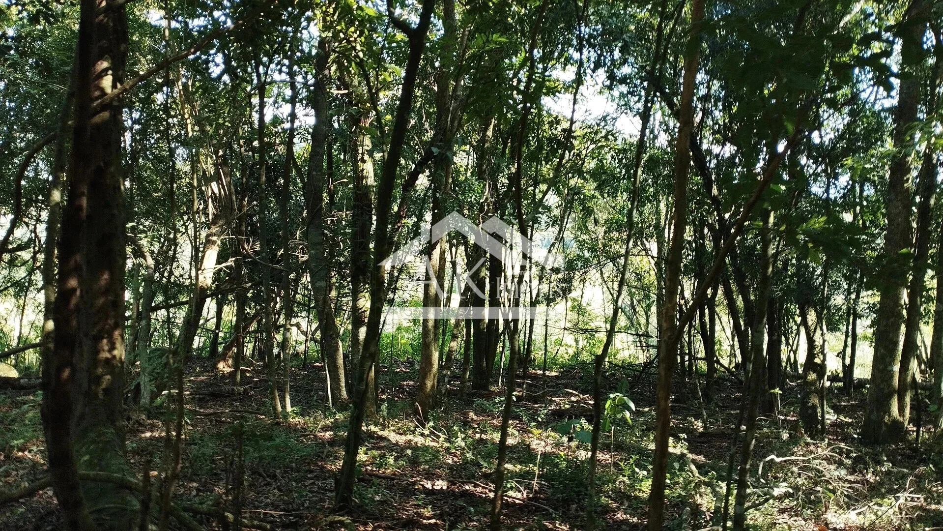 Imagens do imóveis Sítio com açude e vista à venda em Picada Café na Serra Gaúcha