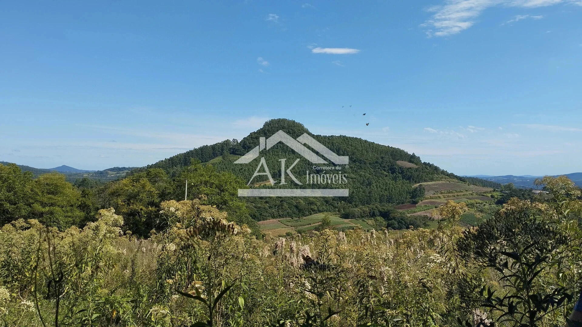 Imagens do imóveis Sítio com açude e vista à venda em Picada Café na Serra Gaúcha