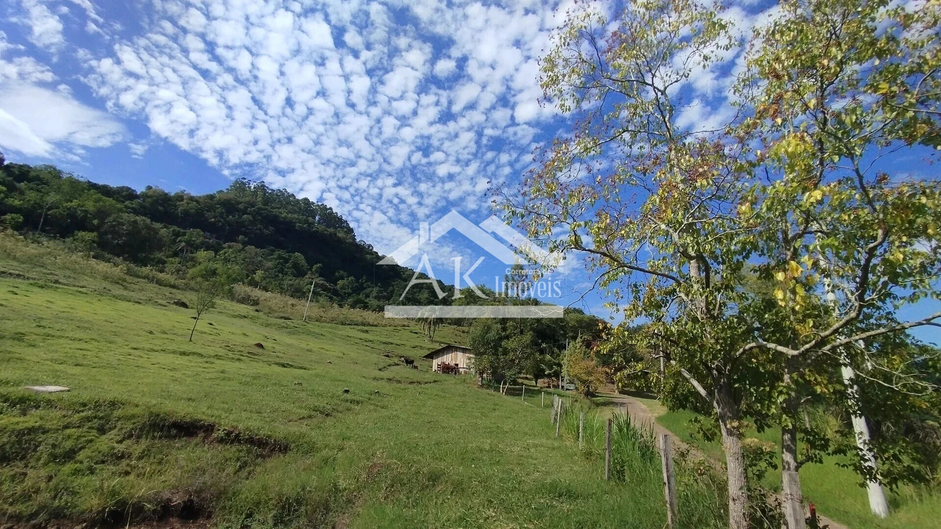 Imagens do imóveis Sítio com açude e vista à venda em Picada Café na Serra Gaúcha