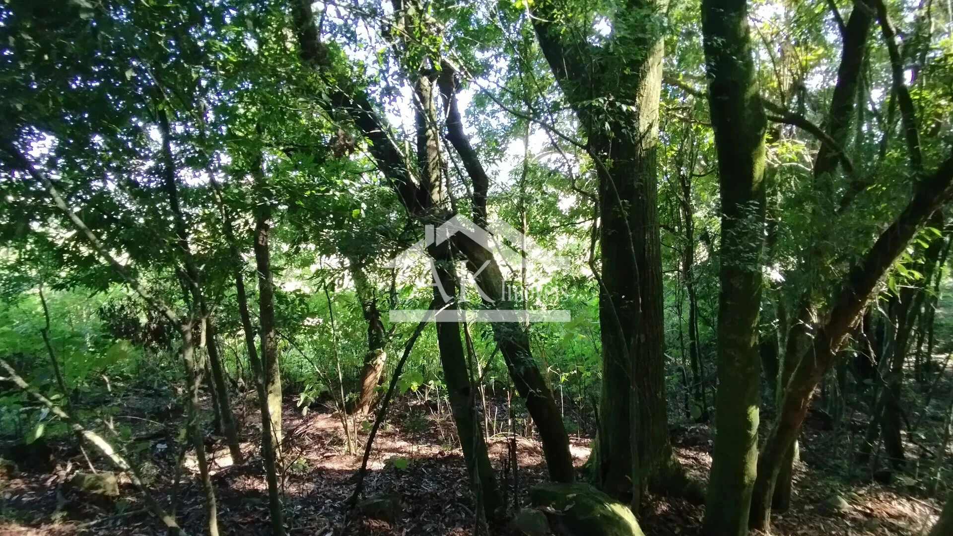 Imagens do imóveis Sítio com açude e vista à venda em Picada Café na Serra Gaúcha