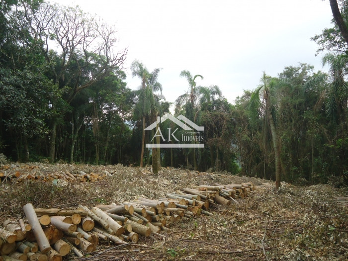 Área de terras com vista à venda em Morro Reuter na Serra Gaúcha