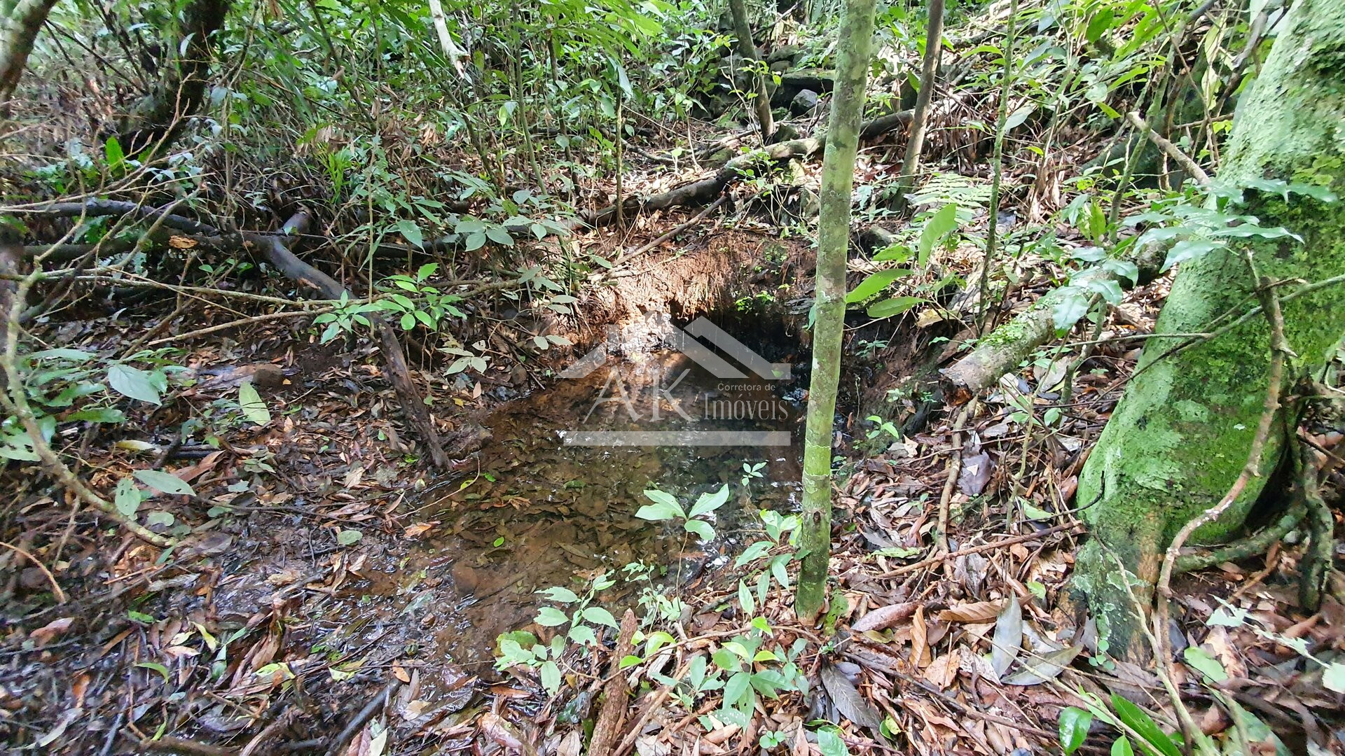 Área de terras com vista à venda em Morro Reuter na Serra Gaúcha
