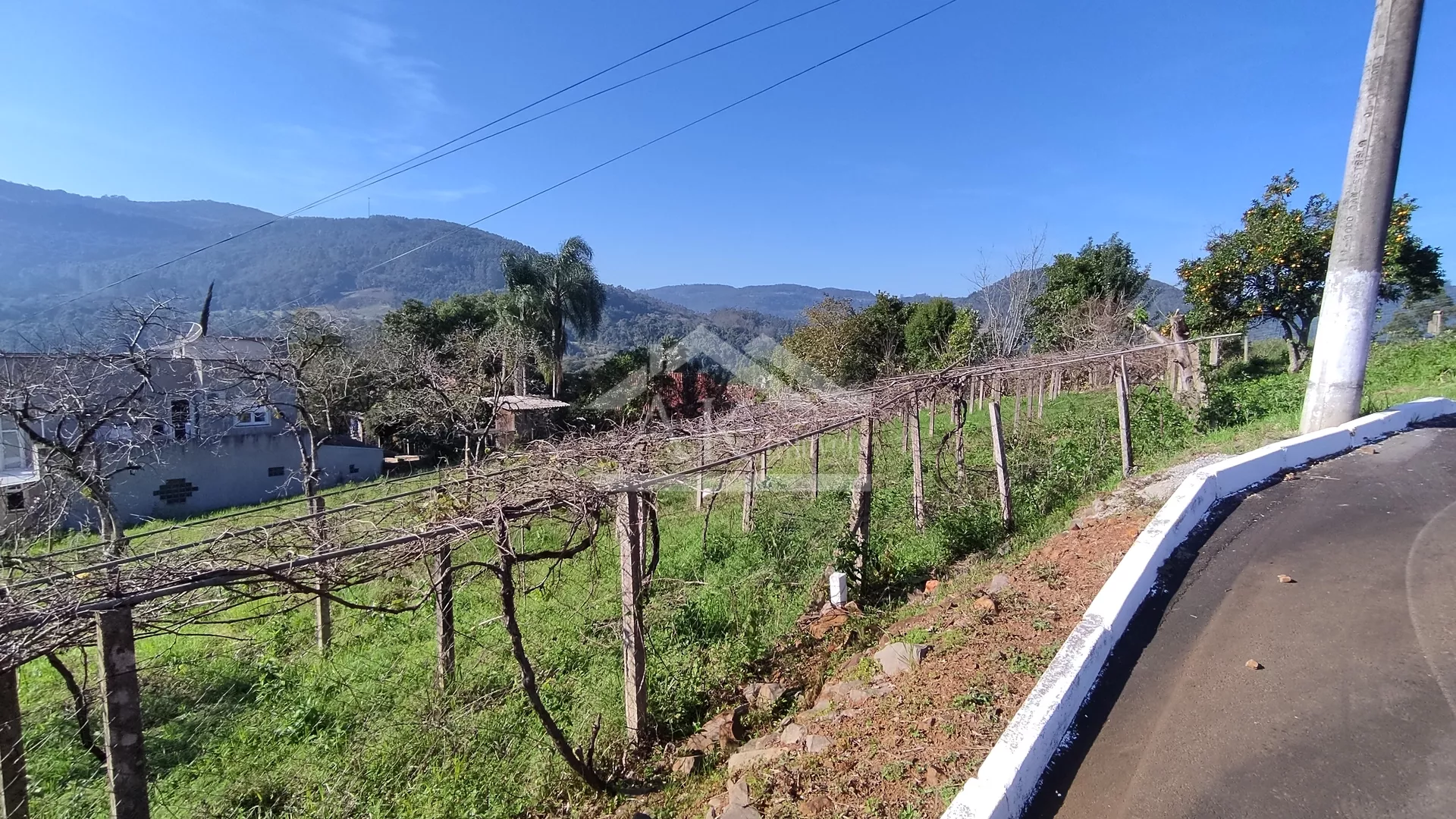 Terrenos à venda em Picada Café na Serra Gaúcha