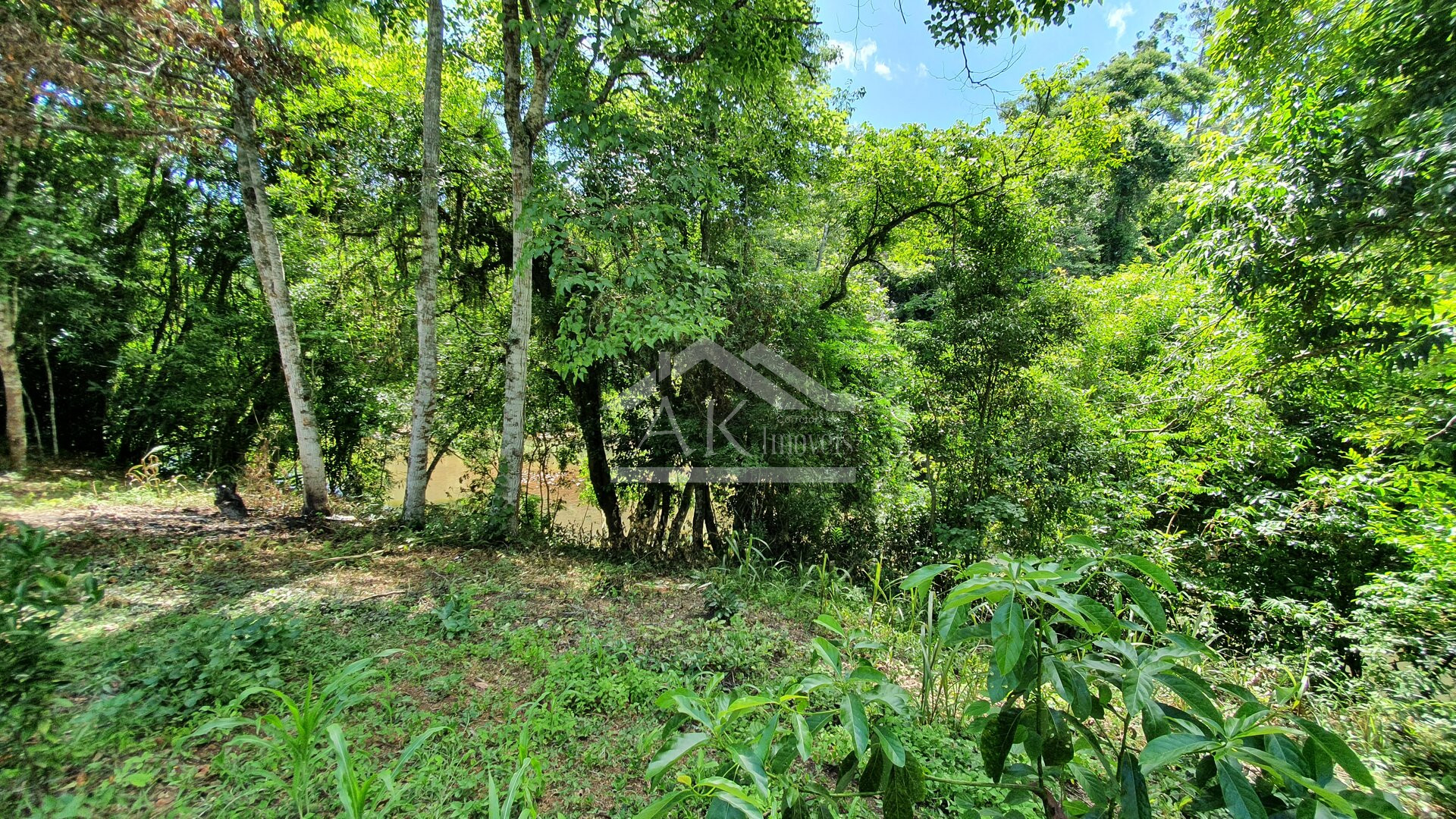 Casa com amplo terreno e 3 quartos à venda em Picada Café na Serra Gaúcha