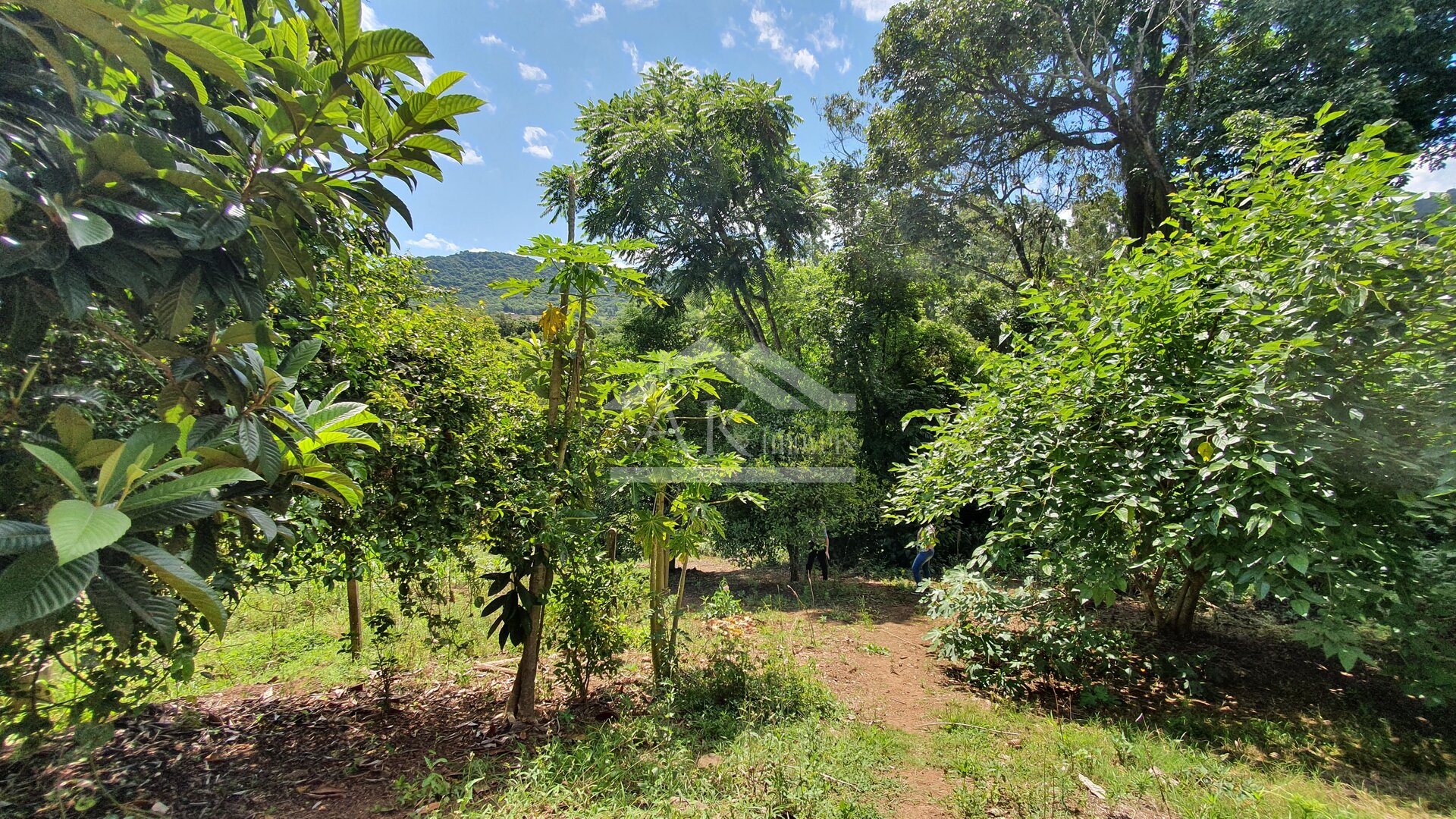 Casa com amplo terreno e 3 quartos à venda em Picada Café na Serra Gaúcha