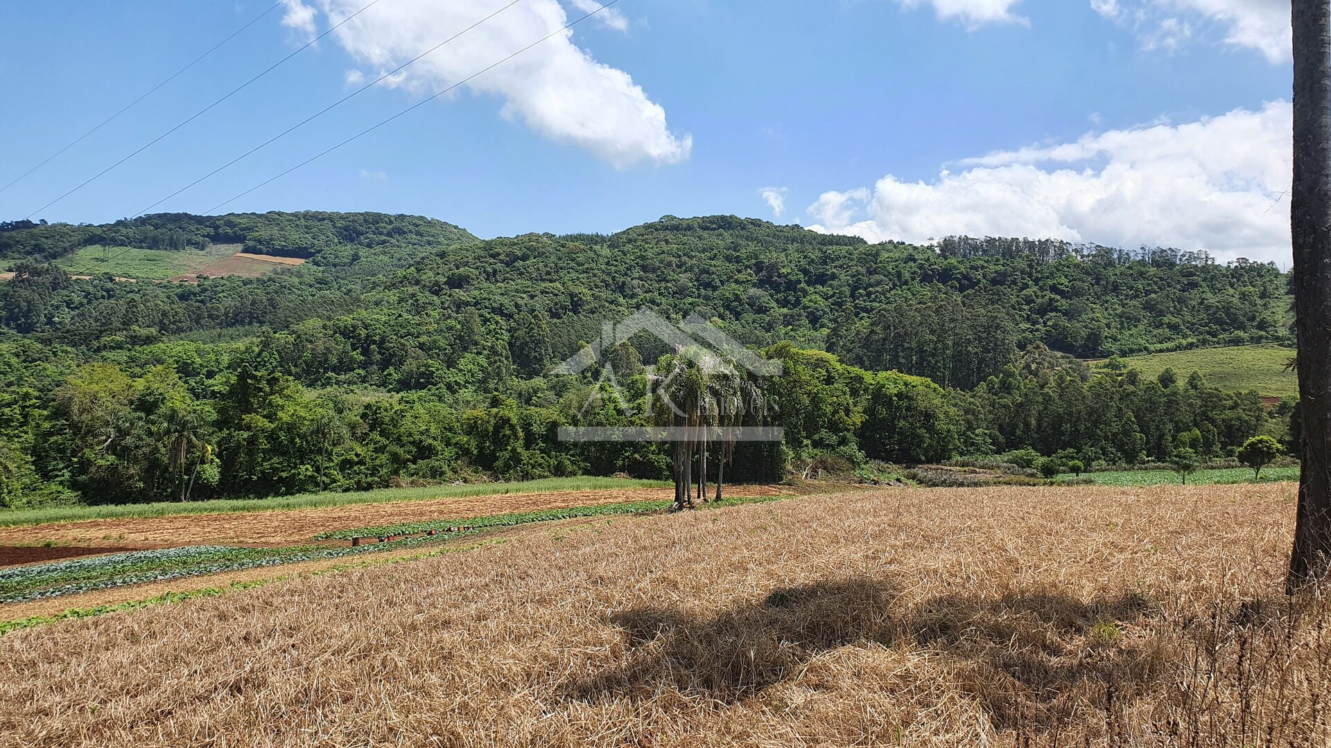 Área de terras com nascente e bela vista à venda em Linha Nova-RS