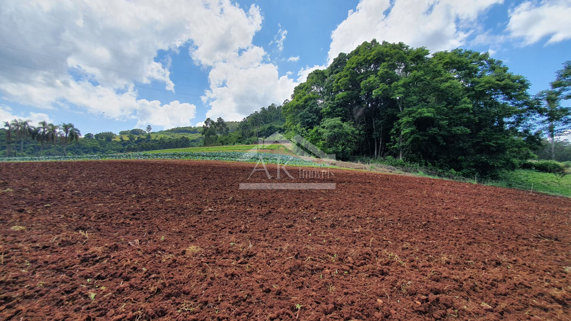 Área de terras com nascente e bela vista à venda em Linha Nova-RS