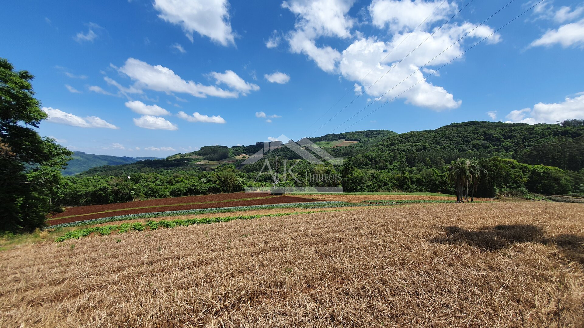 Área de terras com nascente e bela vista à venda em Linha Nova-RS
