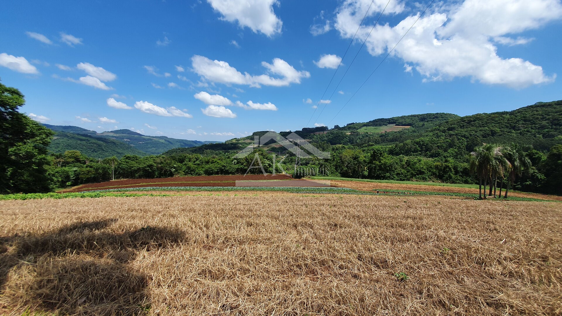 Área de terras com nascente e bela vista à venda em Linha Nova-RS
