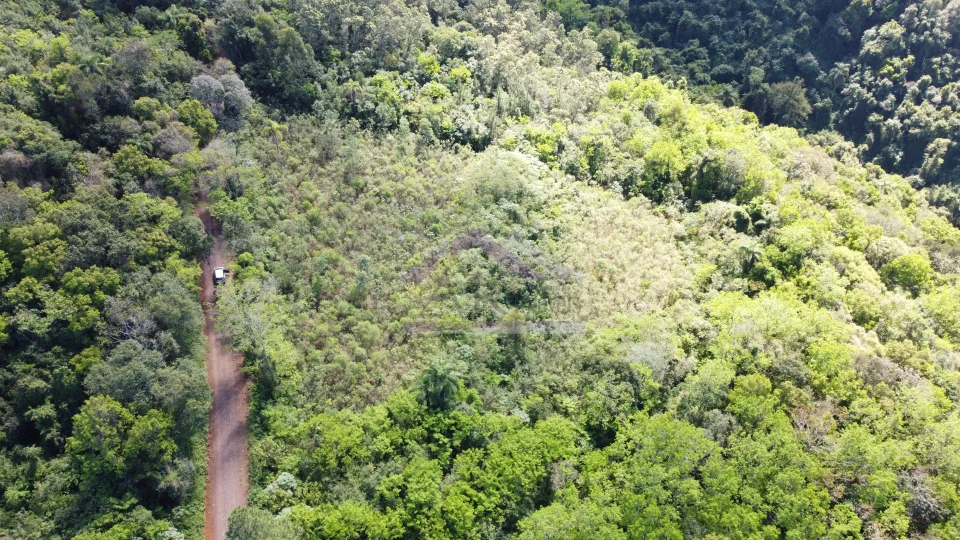 Imagens do imóveis Área de terra com vista à venda em Picada Café na Serra Gaúcha