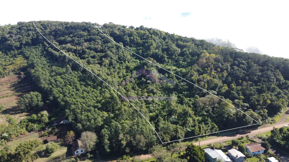 Área de terra à venda em Picada Café na Serra Gaúcha