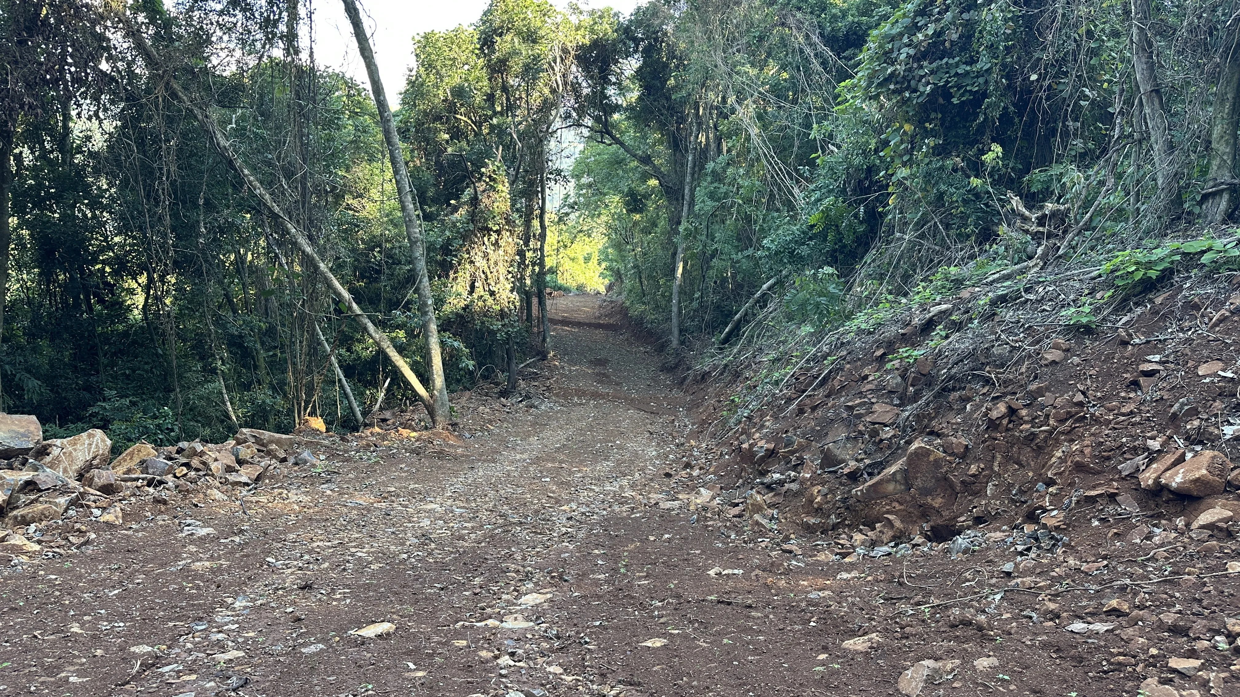 Área de terra com vista à venda em Nova Petrópolis na Serra Gaúcha