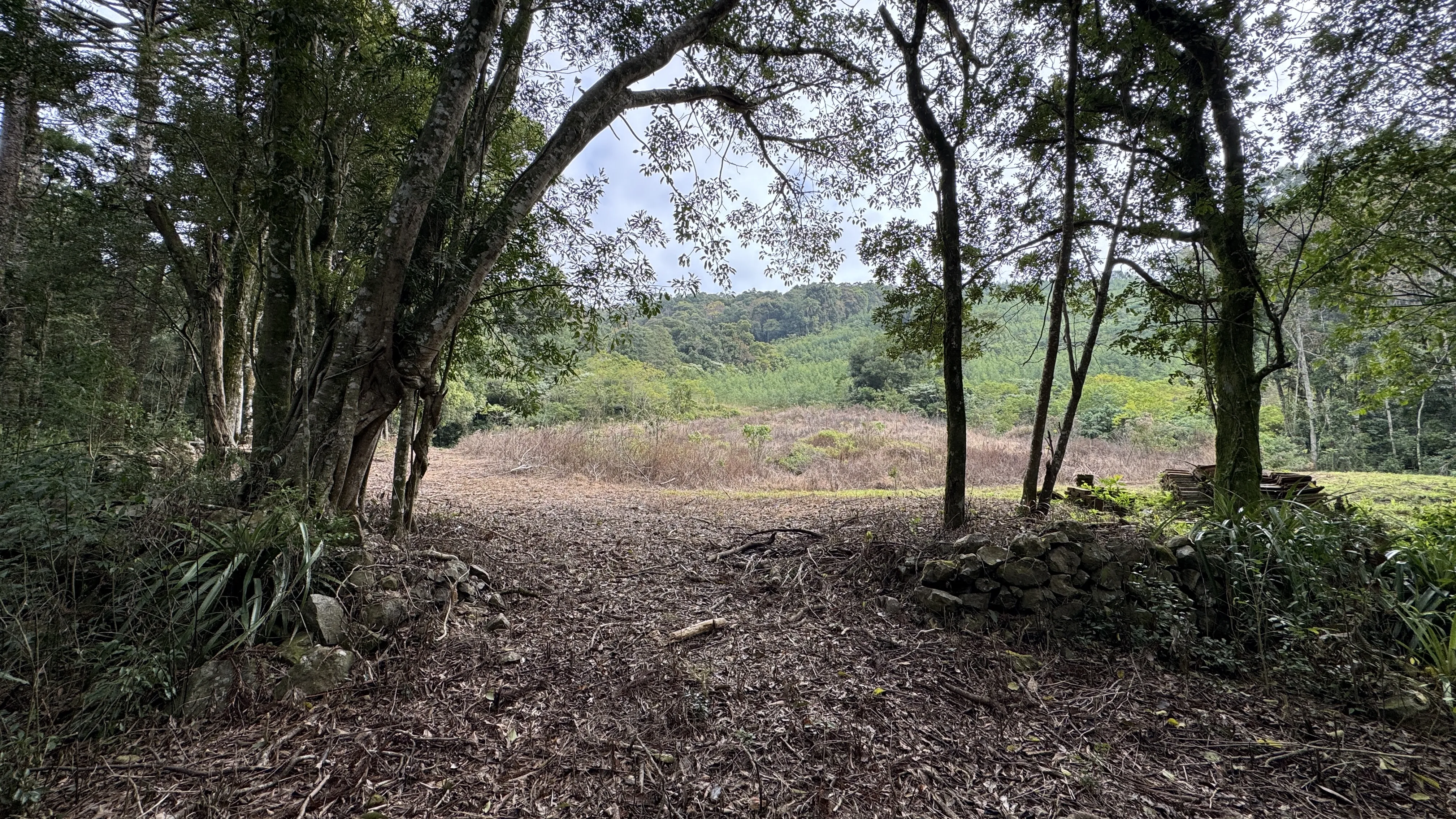 Área de terra com açudes e riacho à venda em Morro Reuter-RS