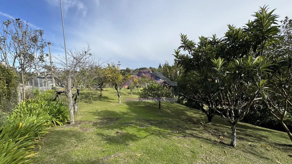 Amplo terreno à venda em Nova Petrópolis na Serra Gaúcha