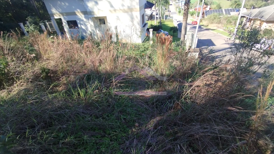 Imagens do imóveis Excelente terreno à venda no bairro Alto da Colina em Picada Café na Serra Gaúcha