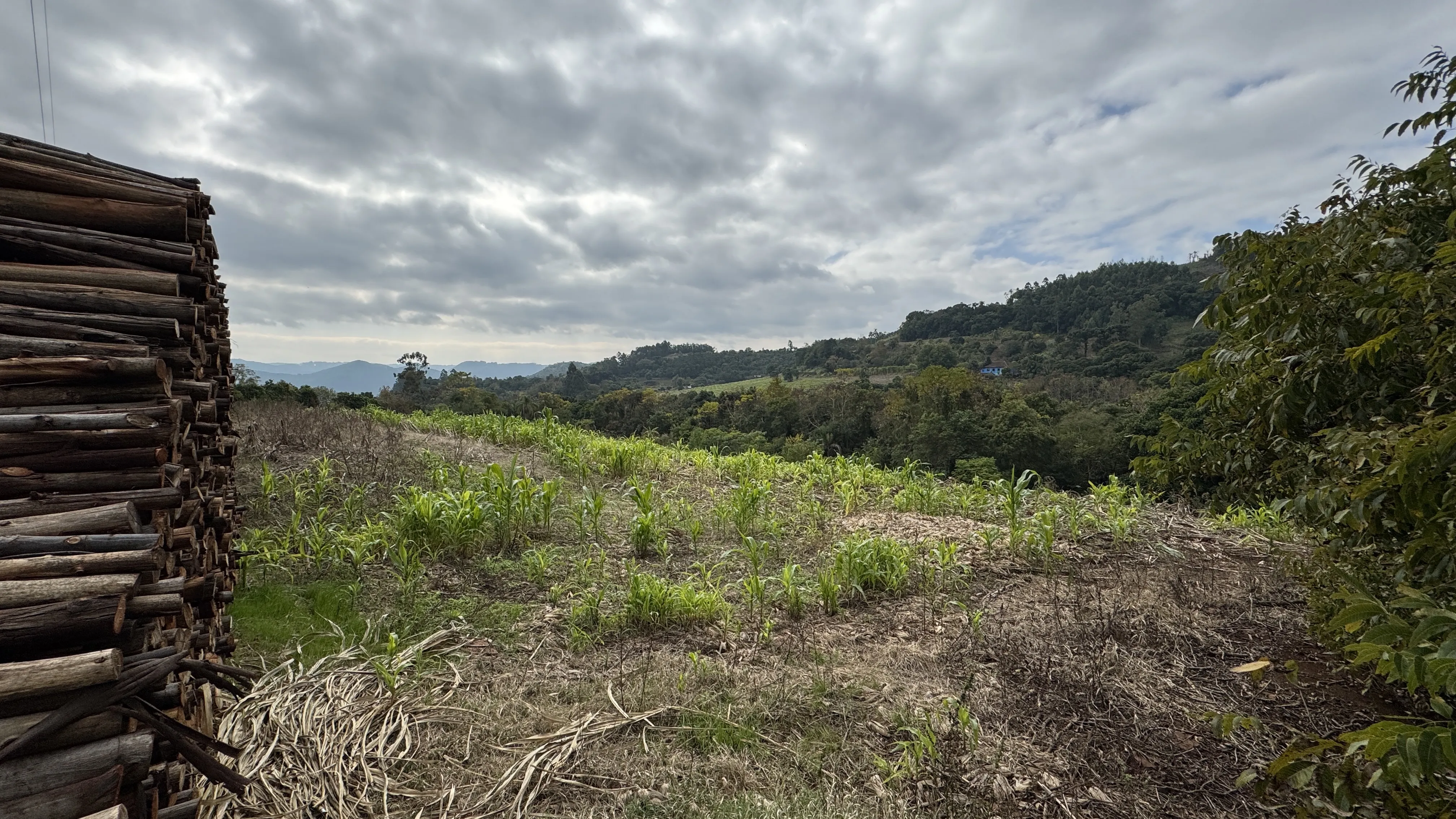 Área de terra com riacho à venda em Morro Reuter-RS