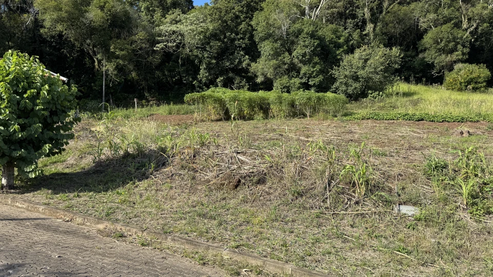 Terreno urbano à venda em Picada Café na Serra Gaúcha