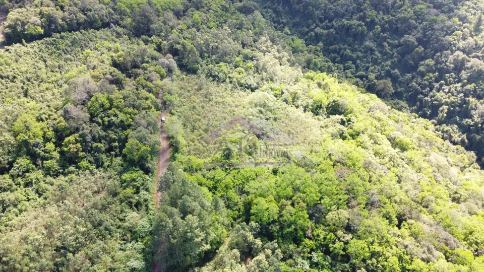 Imagens do imóveis Área de terra com vista à venda em Picada Café na Serra Gaúcha