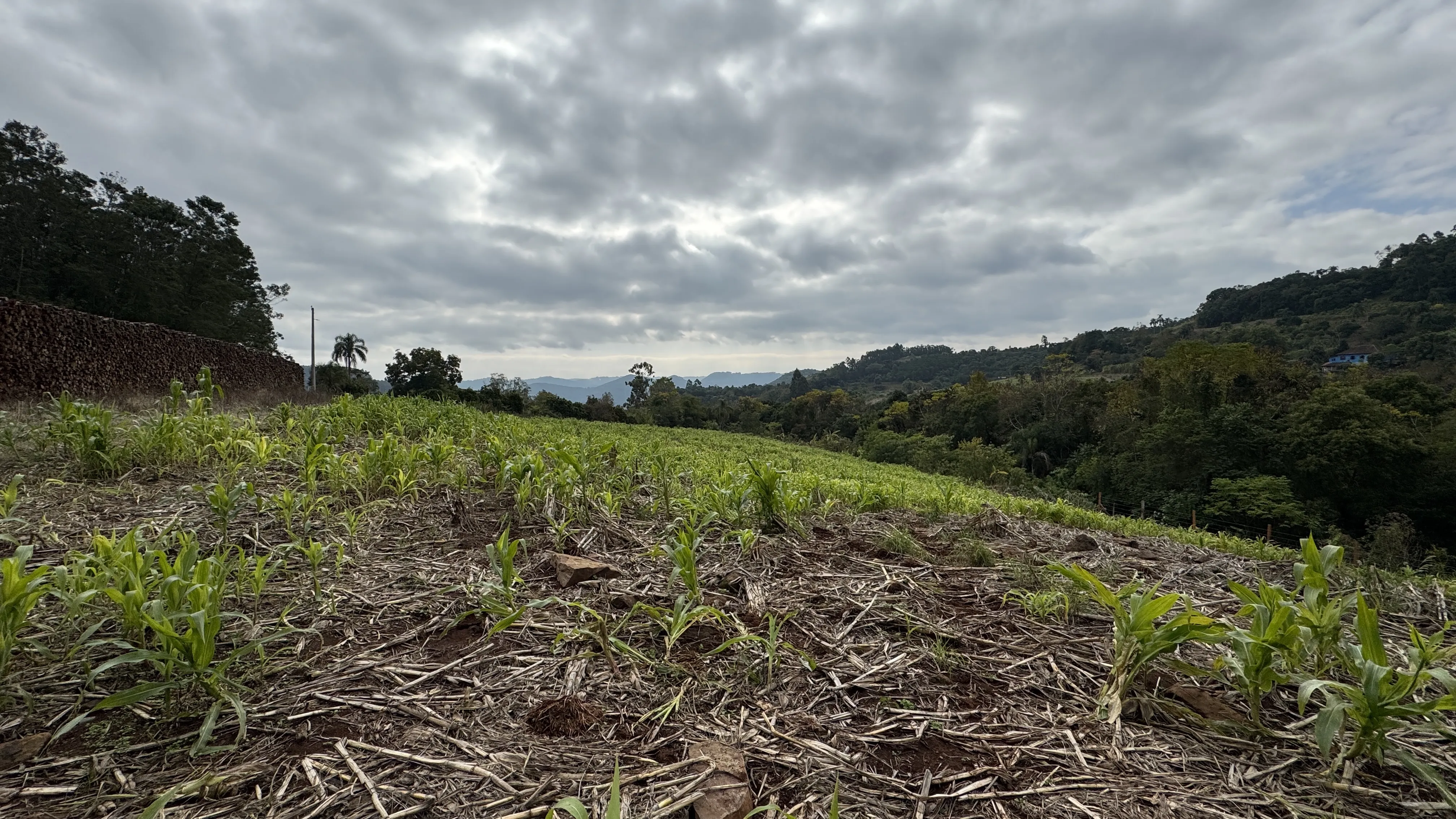 Área de terra com riacho à venda em Morro Reuter-RS