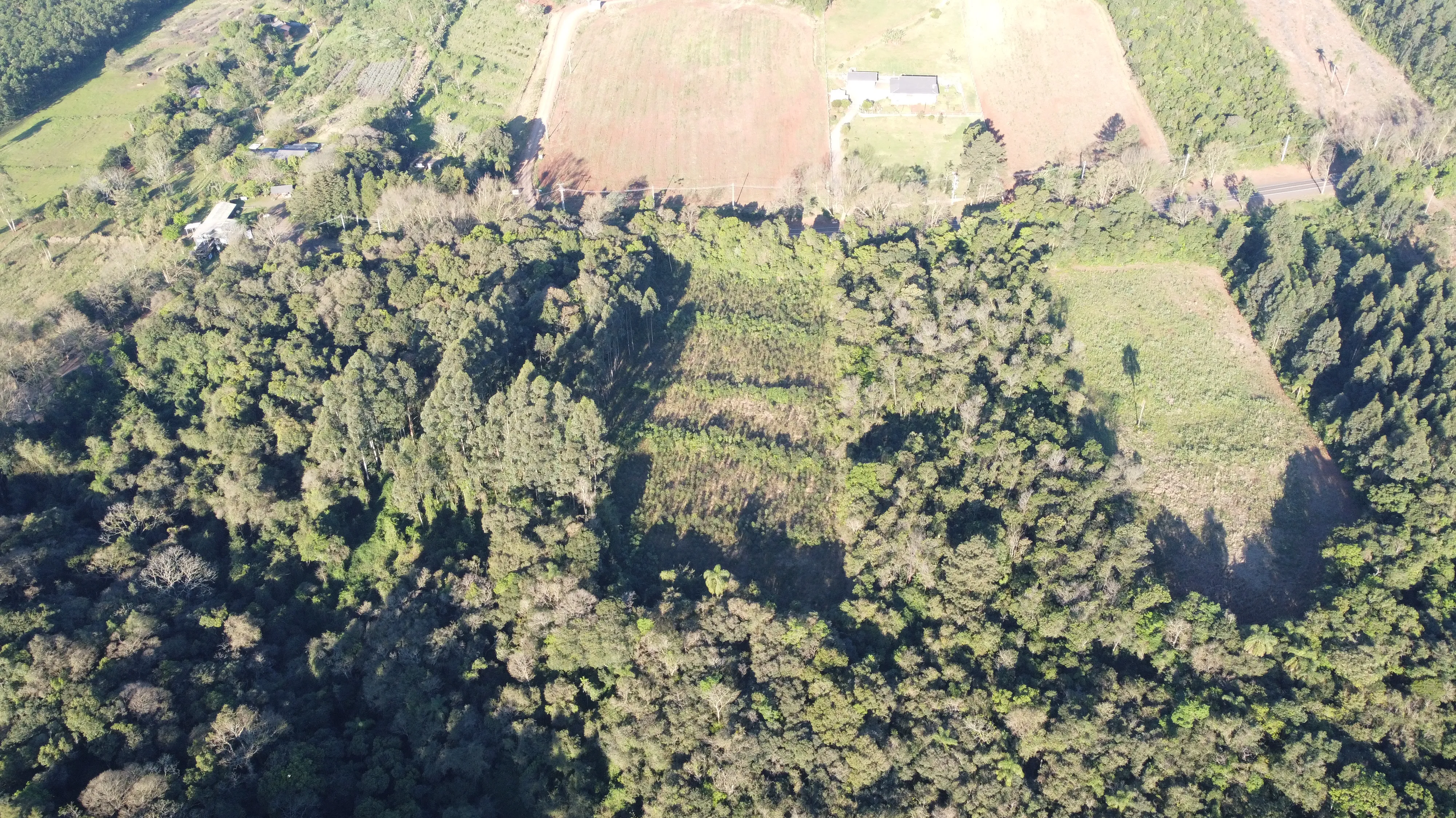 Área de terras com duas frentes para a BR 116 à venda em Picada Café na Serra Gaúcha