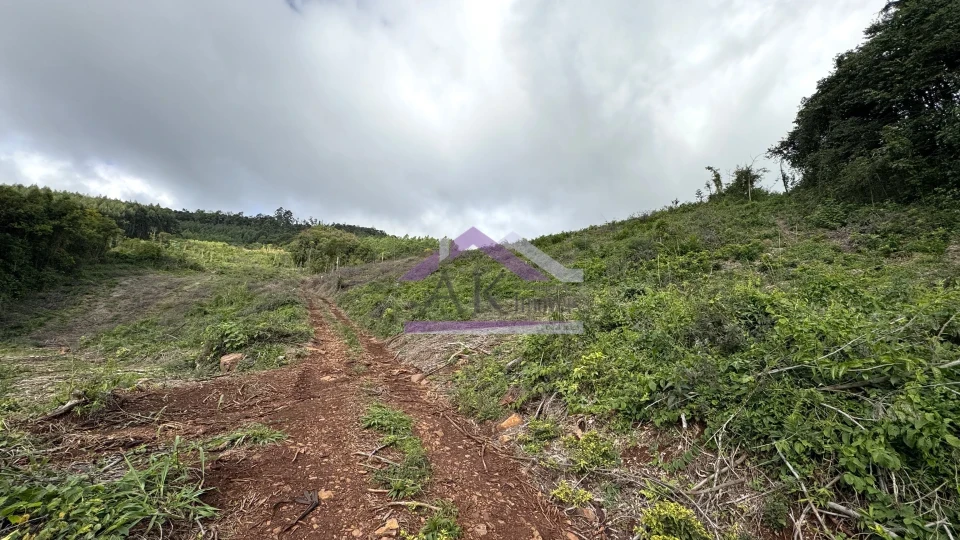 Fazenda/Sítios/Chácaras À Venda Recanto Das Flores Morro Reuter