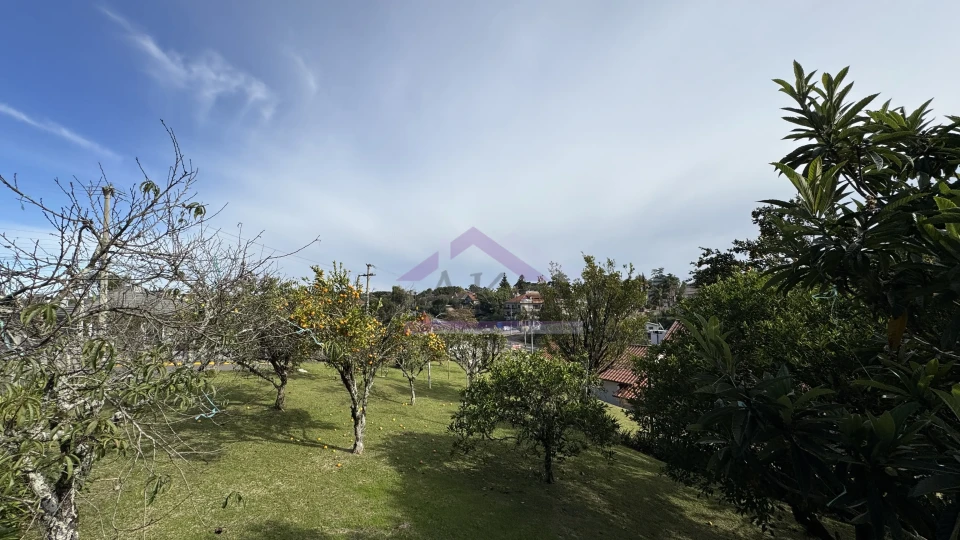 Amplo terreno à venda em Nova Petrópolis na Serra Gaúcha