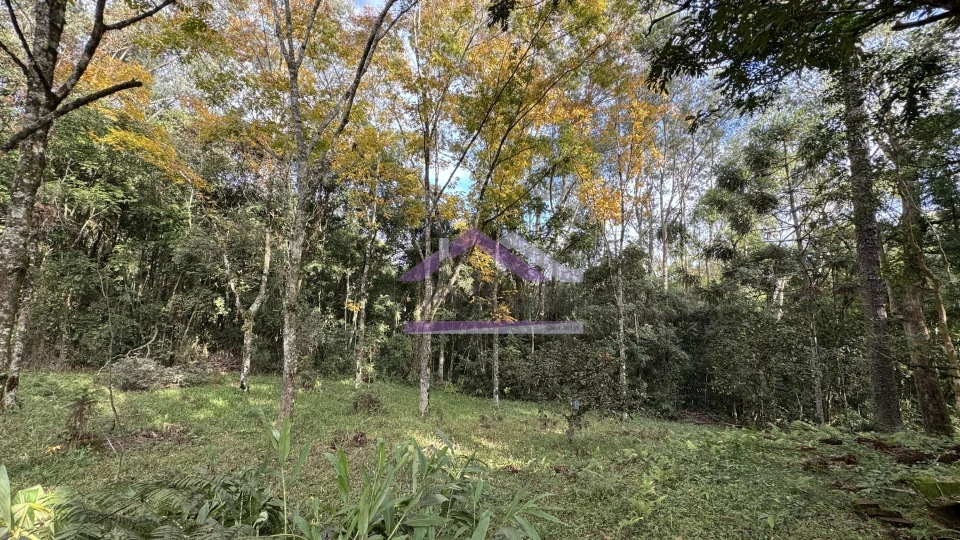 Imagens do imóveis Sítio com vista espetacular à venda em Santa Maria do Herval