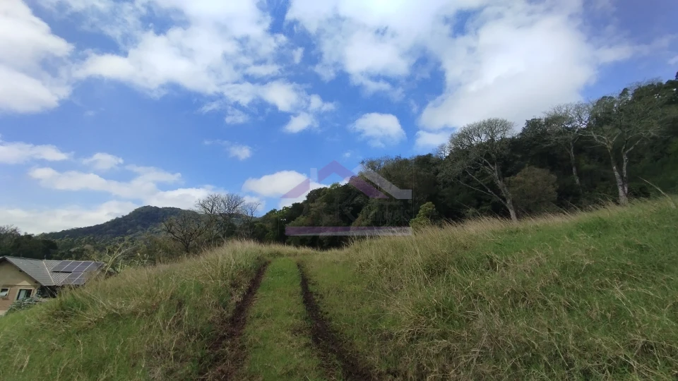Imagens do imóveis Área de terra com vista panorâmica à venda próxima ao centro de Picada Café na Serra Gaúcha