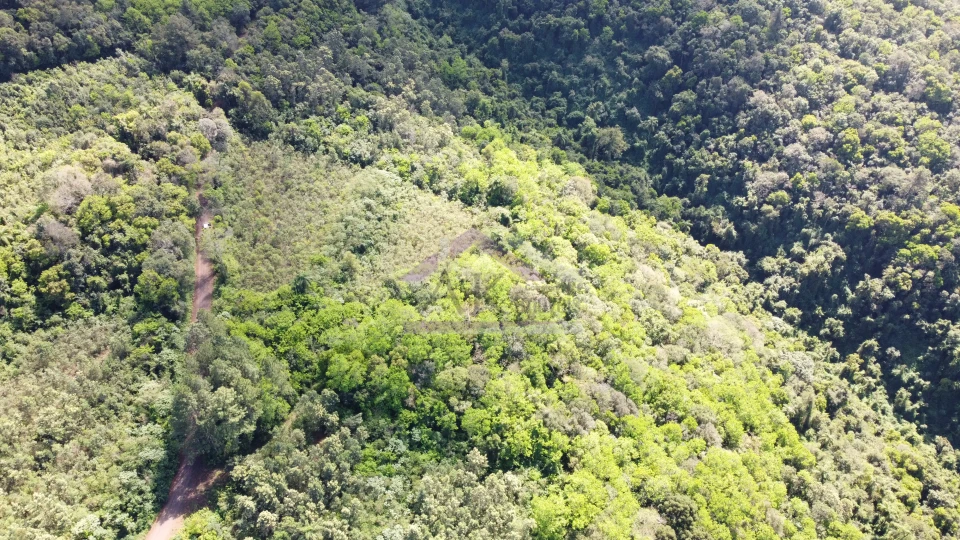 Imagens do imóveis Área de terra com vista à venda em Picada Café na Serra Gaúcha