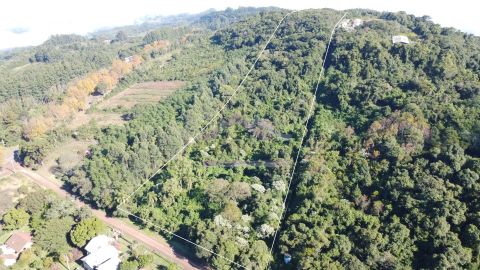 Área de terra à venda em Picada Café na Serra Gaúcha