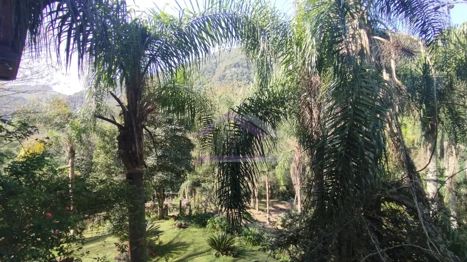 Sítio com riacho e casa enxaimel à venda em Picada Café na Serra Gaúcha