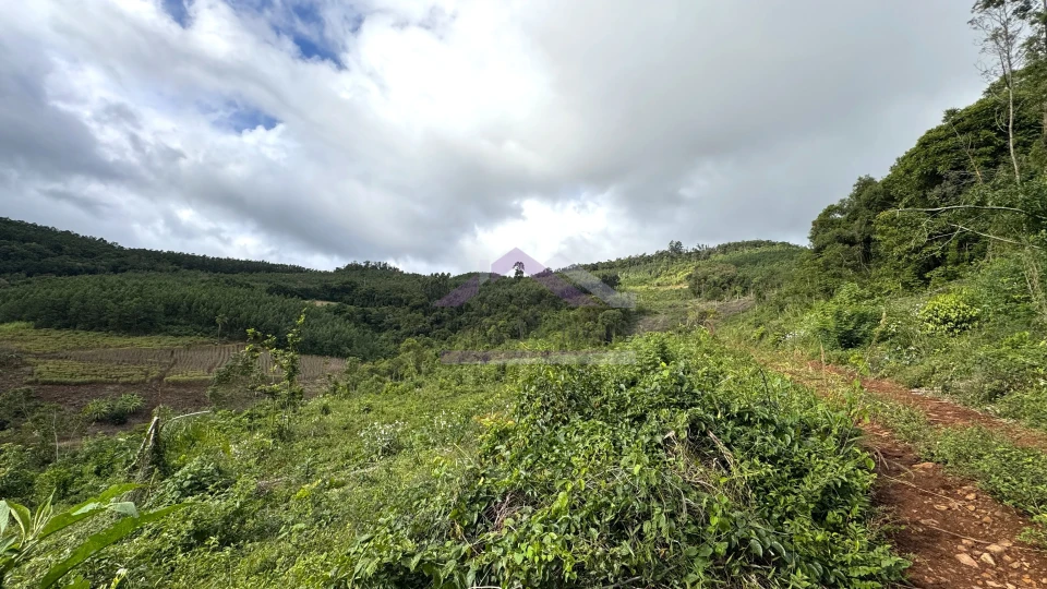Fazenda/Sítios/Chácaras À Venda Recanto Das Flores Morro Reuter