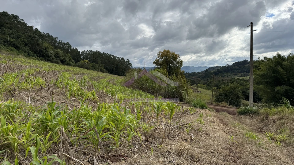 Área de terra com vista e vertente à venda em Morro Reuter-RS