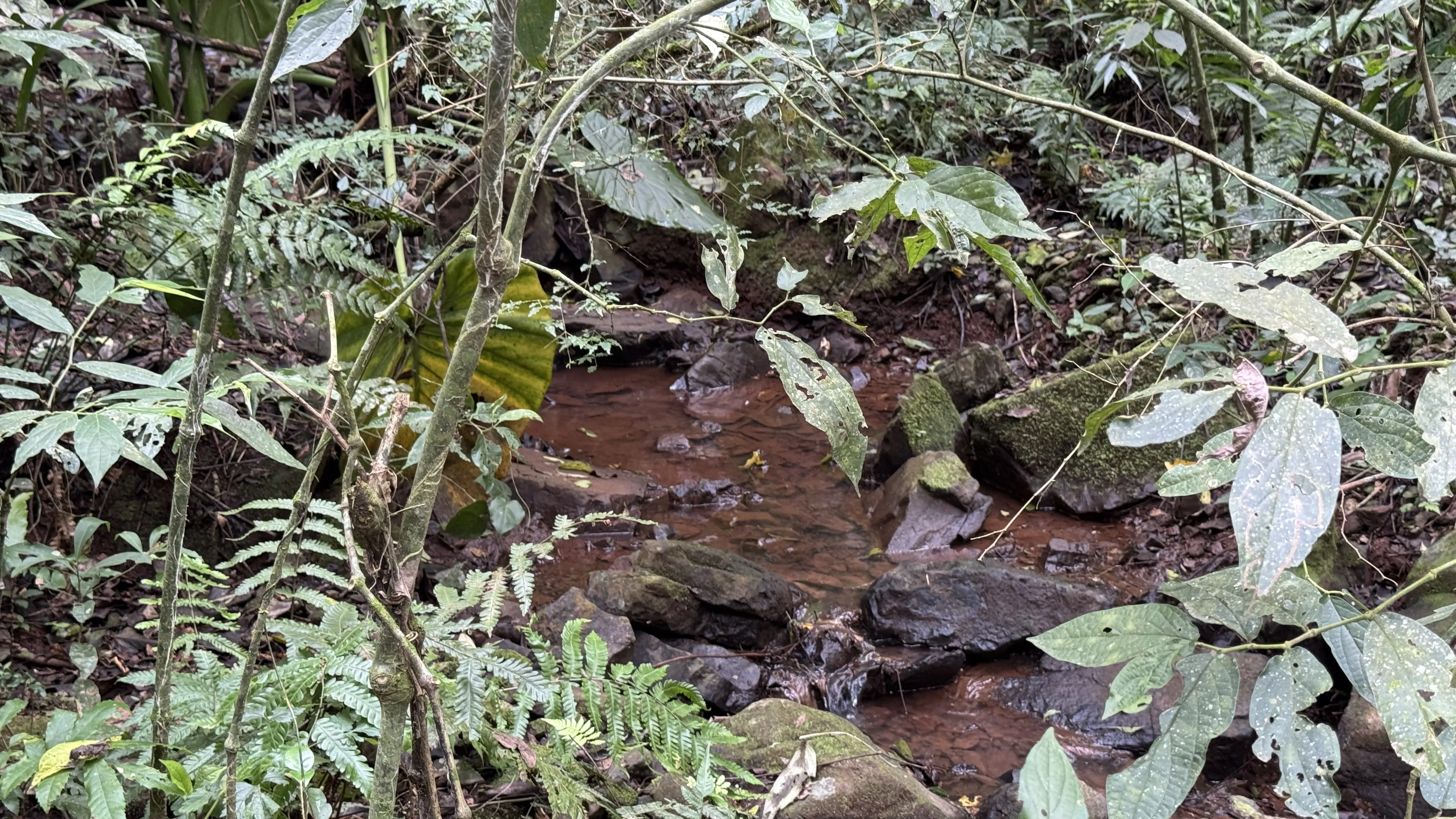 Área de terra com riacho à venda em Morro Reuter-RS