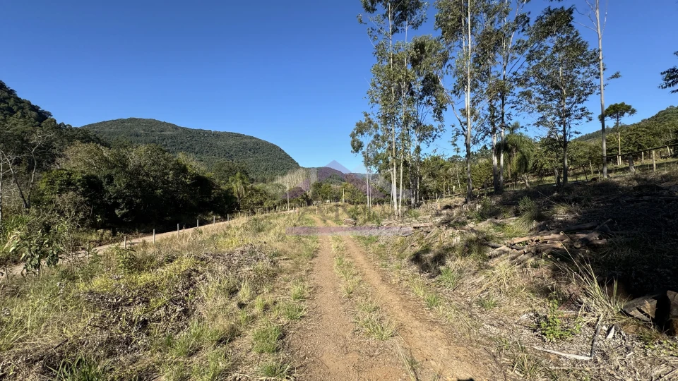 Imagens do imóveis Sítio de 9 hectares à venda em Nova Petrópolis na Serra Gaúcha