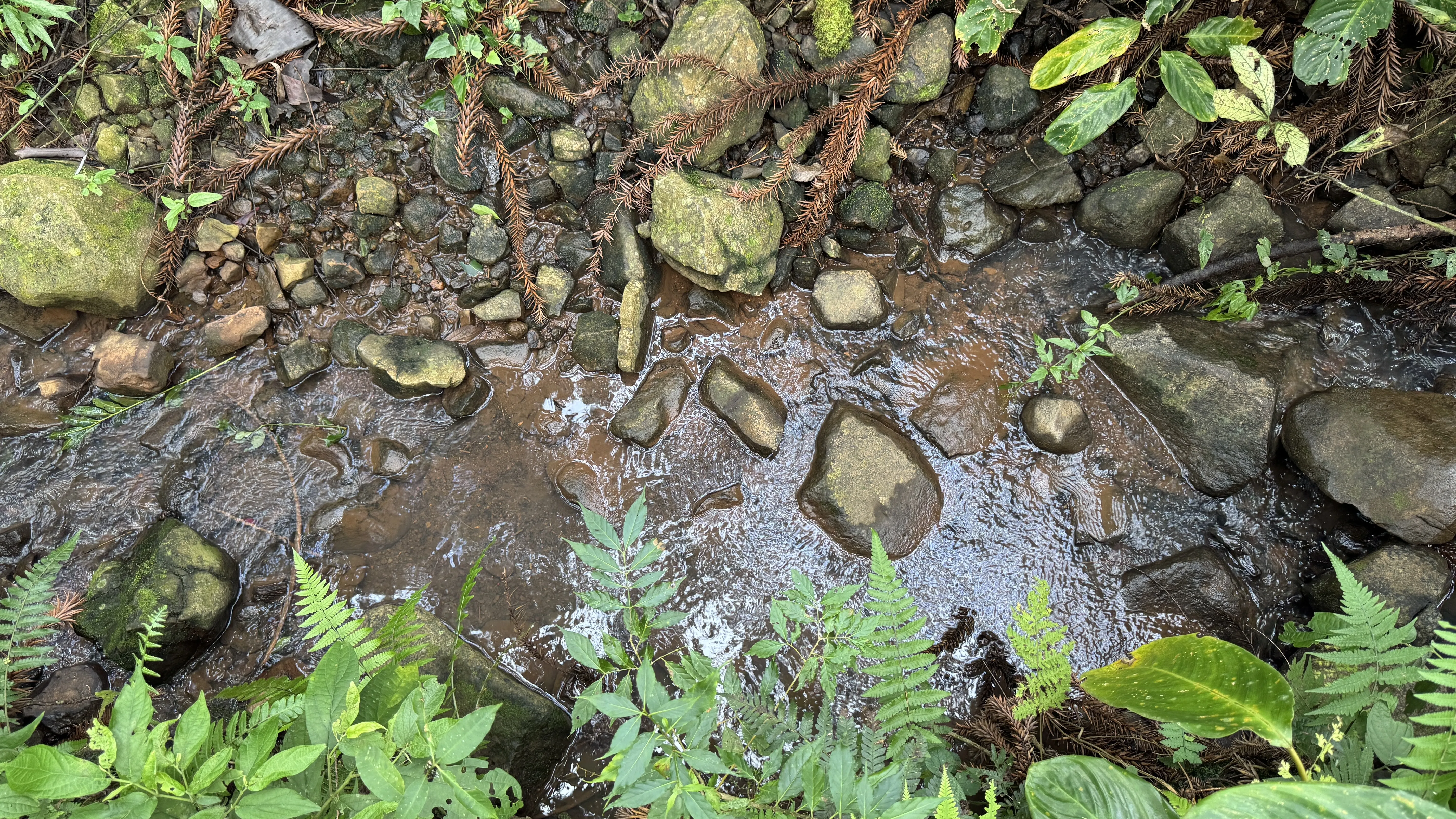 Área de terra com açudes e riacho à venda em Morro Reuter-RS