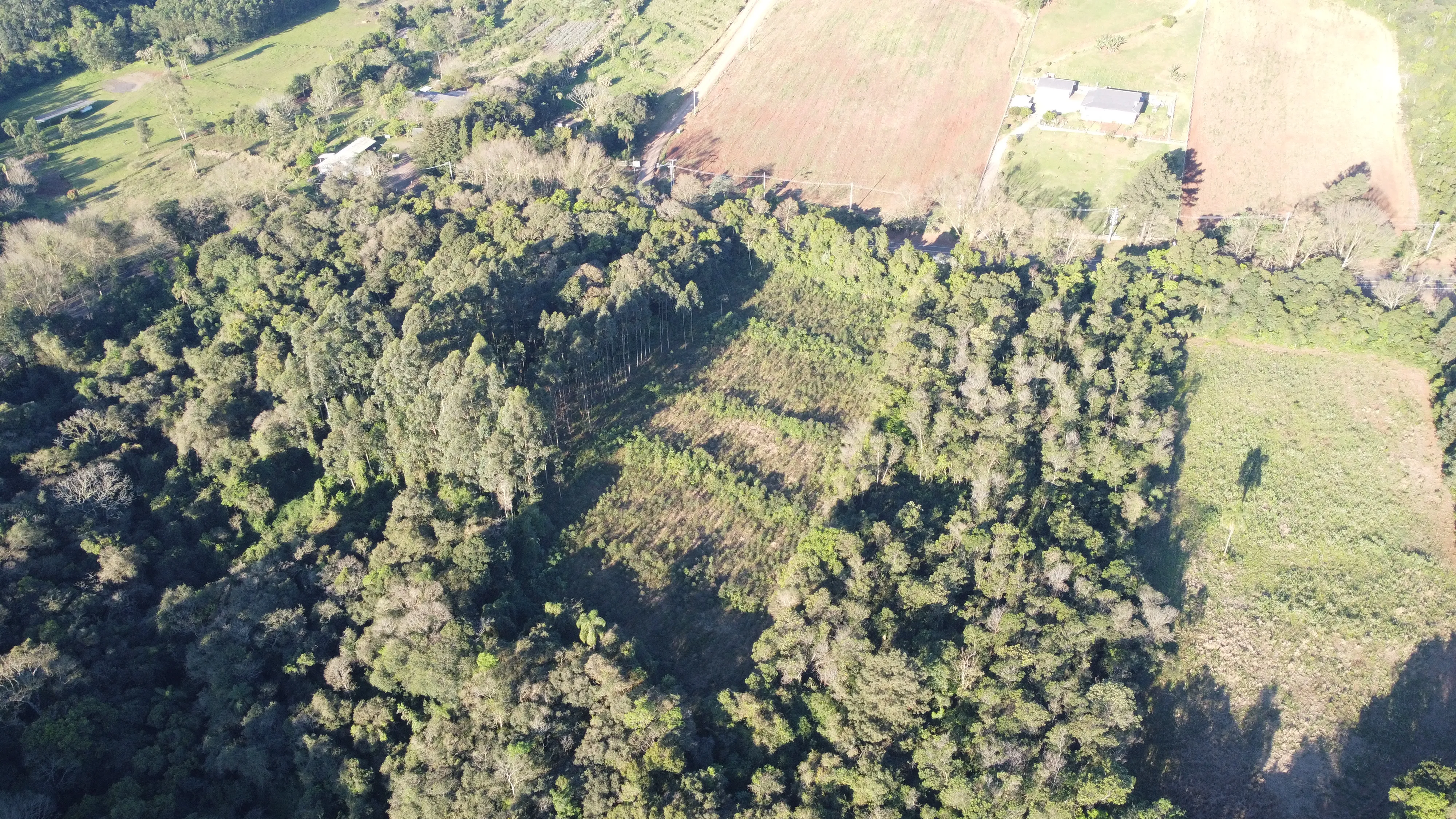 Área de terras com duas frentes para a BR 116 à venda em Picada Café na Serra Gaúcha