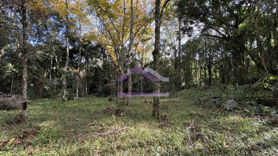 Imagens do imóveis Sítio com vista espetacular à venda em Santa Maria do Herval
