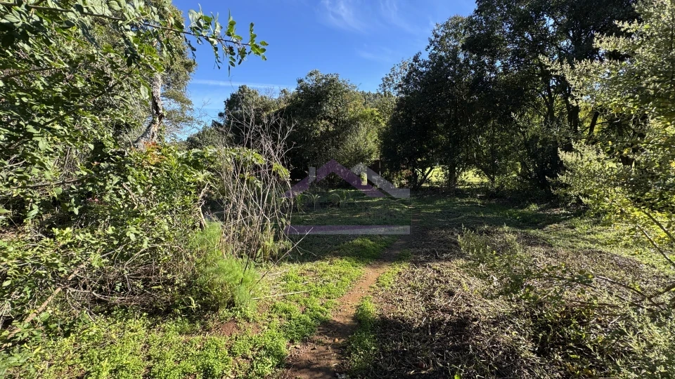 Imagens do imóveis Amplo terreno à venda em Picada Café na Serra Gaúcha