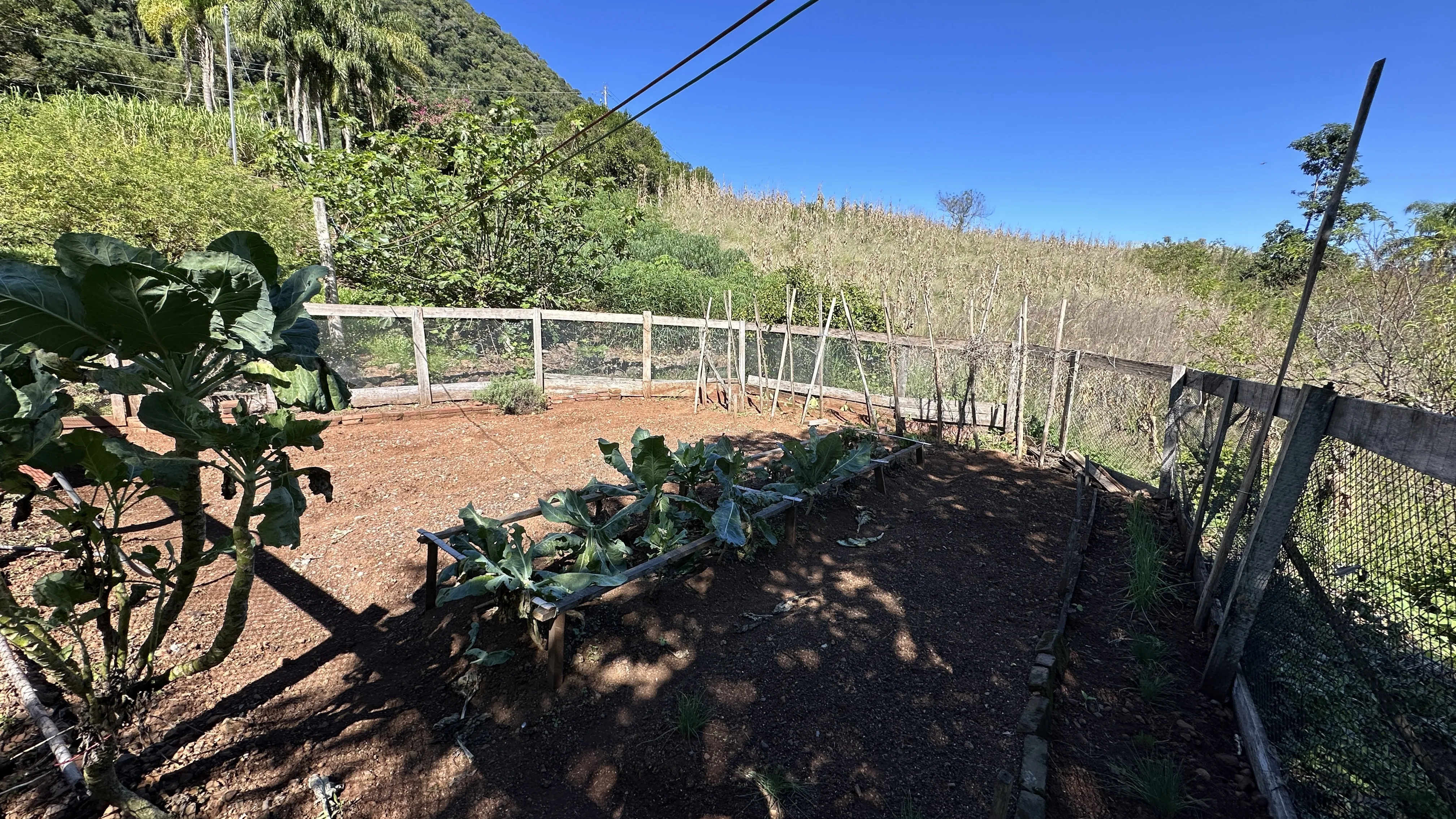 Área de terras com fundos para riacho à venda em Picada Café na Serra Gaúcha