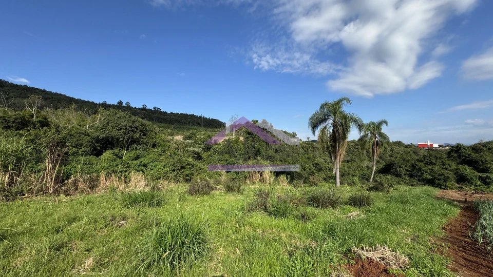 Imagens do imóveis Amplo terreno com vista à venda em Picada Café na Serra Gaúcha