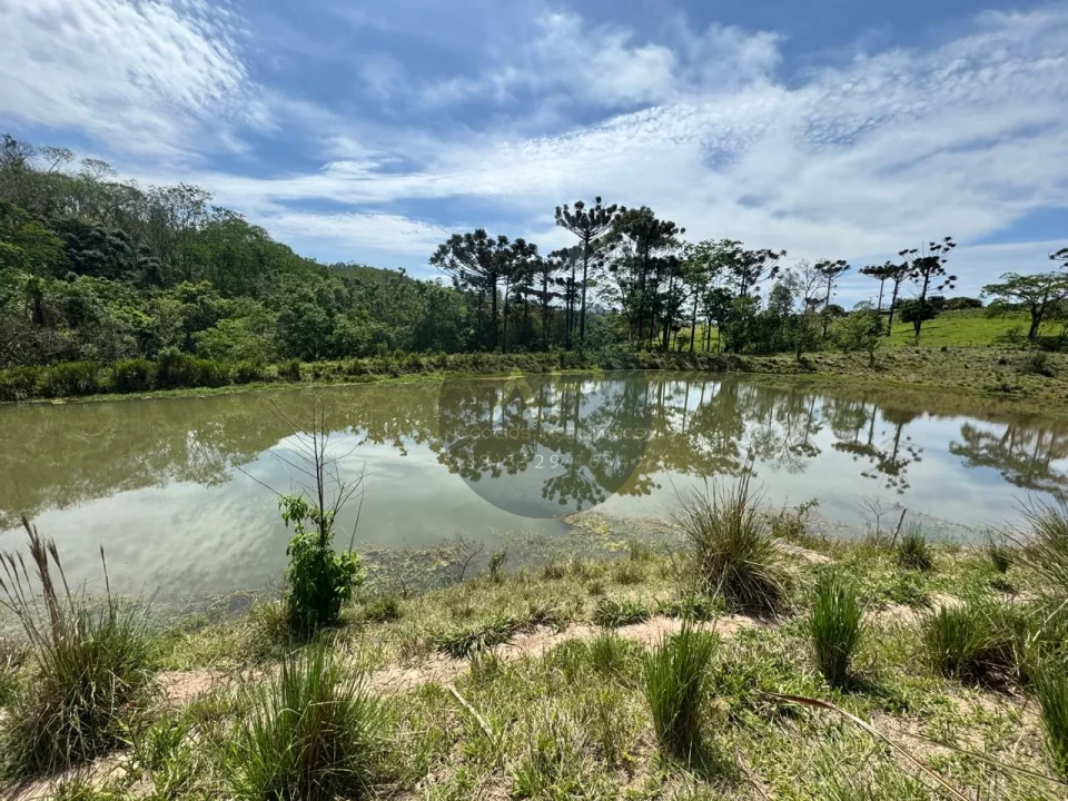 Imagens do imóveis Fazenda/Sítios/Chácaras À Venda Sítio Arroio Do Alto Tamarana