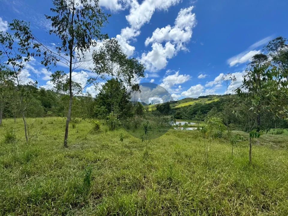 Imagens do imóveis Fazenda/Sítios/Chácaras À Venda Sítio Arroio Do Alto Tamarana