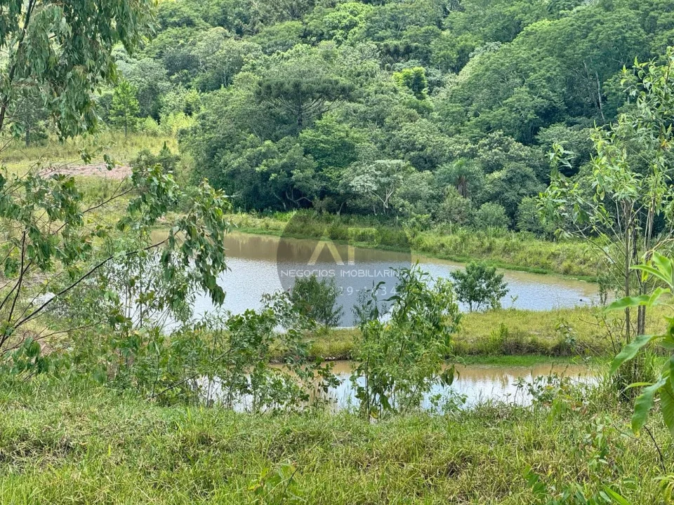 Imagens do imóveis Fazenda/Sítios/Chácaras À Venda Sítio Arroio Do Alto Tamarana