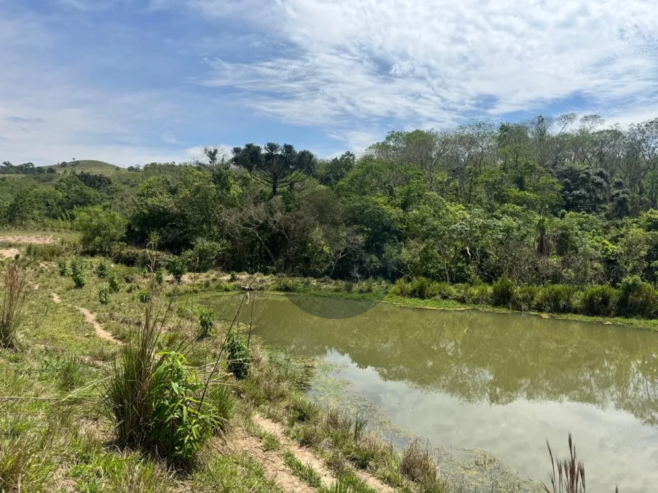 Imagens do imóveis Fazenda/Sítios/Chácaras À Venda Sítio Arroio Do Alto Tamarana
