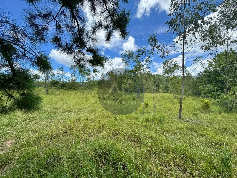 Imagens do imóveis Fazenda/Sítios/Chácaras À Venda Sítio Arroio Do Alto Tamarana