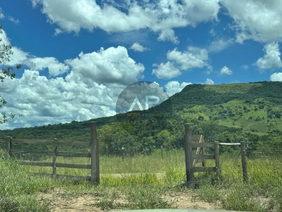 Imagens do imóveis Fazenda/Sítios/Chácaras À Venda Sítio Arroio Do Alto Tamarana