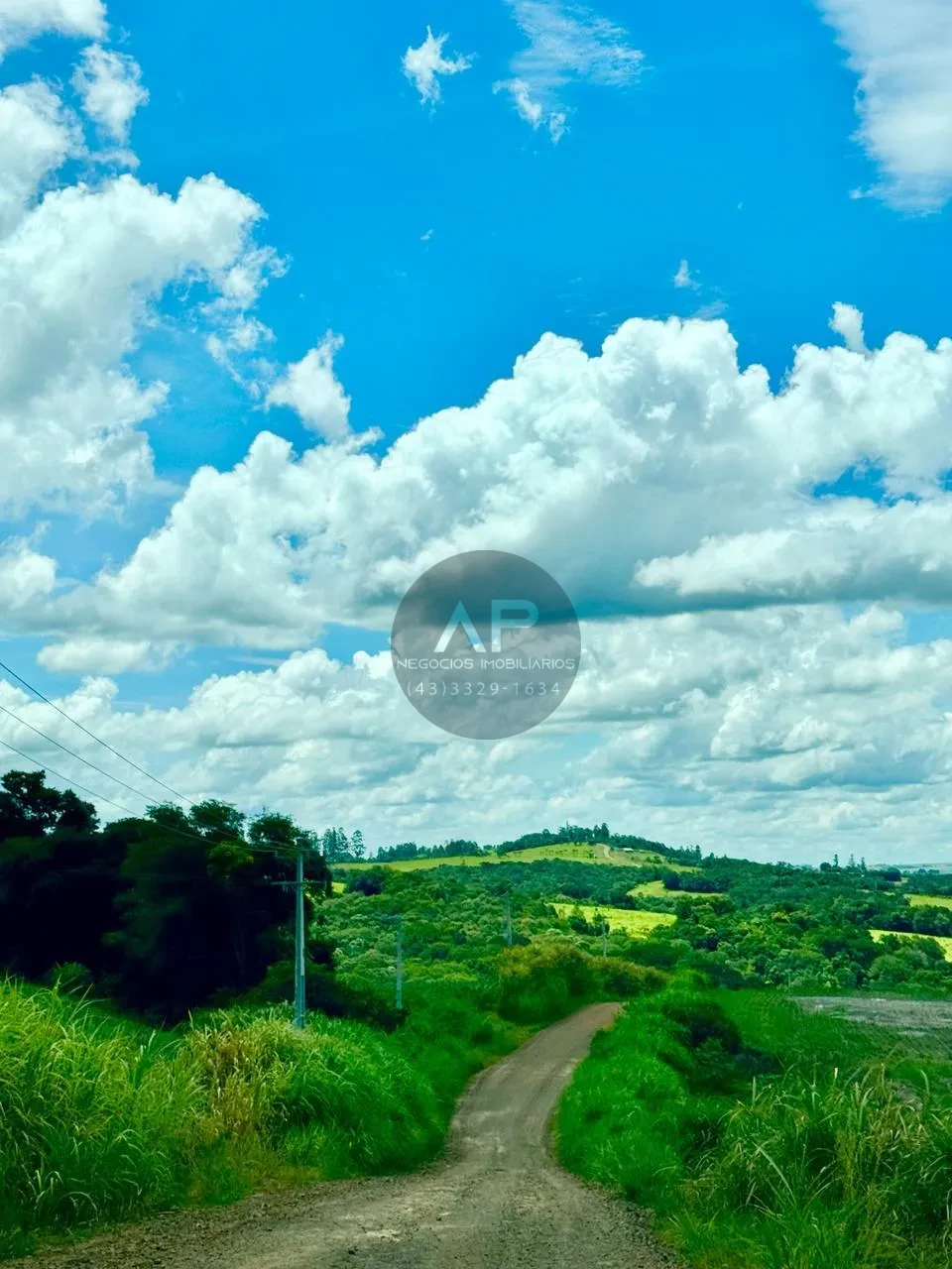 Imagens do imóveis Fazenda/Sítios/Chácaras À Venda Sítio Arroio Do Alto Tamarana